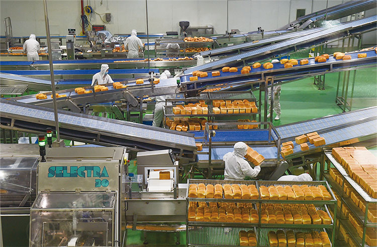 申净工程师分享：面包食品生产工艺流程