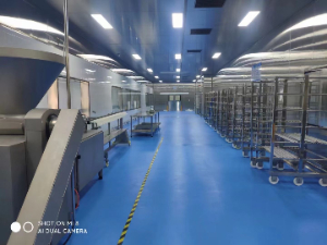 灌装肠类红肠食品厂洁净车间如何设计